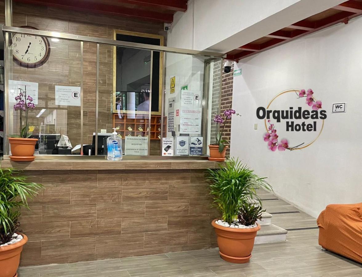 Orquideas Hotel 科米坦德多明格斯 外观 照片