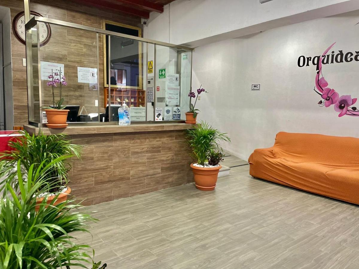 Orquideas Hotel 科米坦德多明格斯 外观 照片